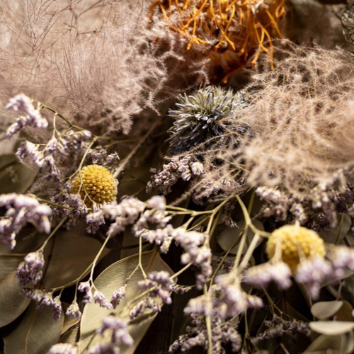 winter＊ユーカリ＆コットン&ピンクッション ナチュラルフェイクスワッグ