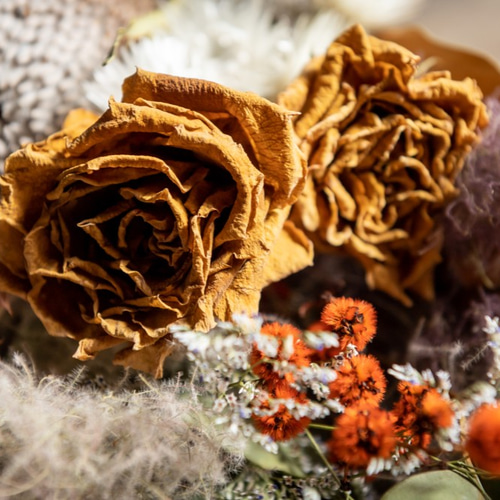 バンクシアとバラの花束・スワッグ スワッグ ドライフラワー工房Rin