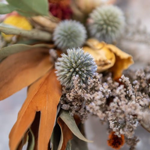 グレビレアゴールドの可愛い色とりどりリース リース ドライフラワー