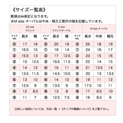  第4張的照片