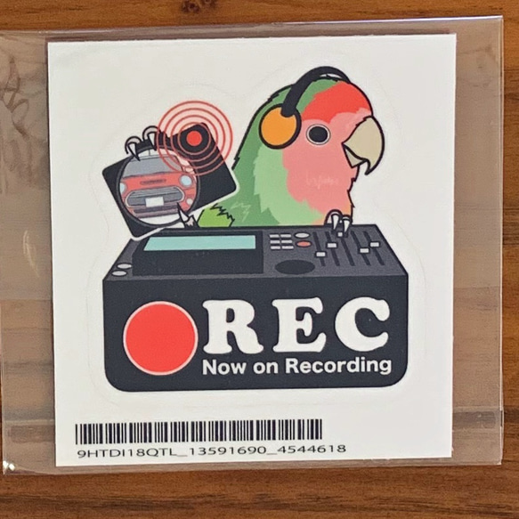 インコ グッズ ドラレコステッカー 2枚目の画像