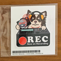 チワワ-2 犬 ドラレコステッカー 2枚目の画像