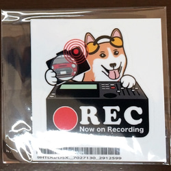 コーギー 犬 ドラレコステッカー 2枚目の画像