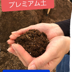 送料無料！生産者が使う　プレミアム　30㍑土　観葉植物　多肉植物 1枚目の画像