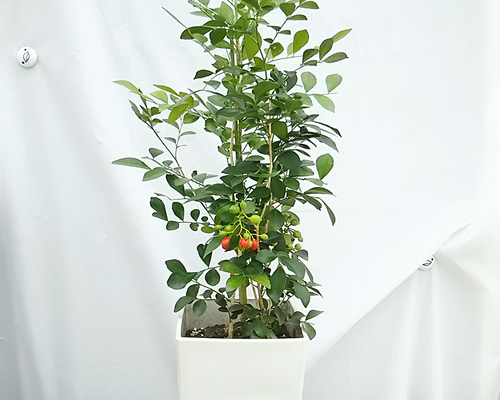 1_6a64382f2619f9ef9c145fd77f6c