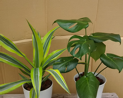 0_1769f8c0bacf00adb04847704bef