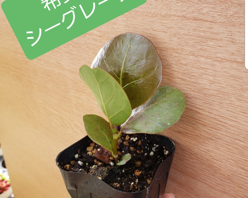 1_b658a82947307b938514ef26115d