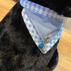 【送料無料】猫さんのおしゃれ用首輪　安全バックル　ブルーチェック　スカーフ　【アウトレット】 5枚目の画像