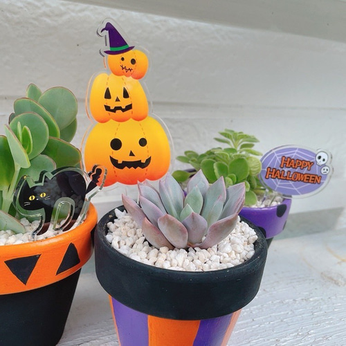 ハロウィン ガーデニングピック その他インテリア雑貨 mochi 通販