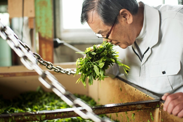 微粉末茶 颯々 （２０本）筒入り。 6枚目の画像