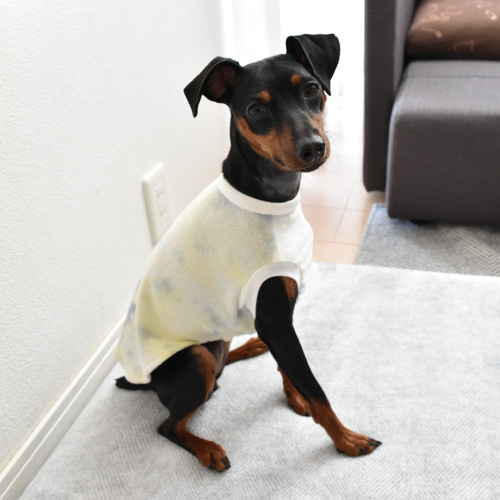 犬服 タンクトップ ハンドメイド タイダイ 犬服】パイル生地タイダイ染めタンクトップ ペット服・アクセサリー