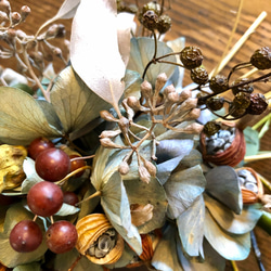 月桃と野ばらの実　秋色あじさいの　彩りハーフリース 5枚目の画像
