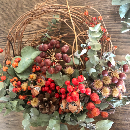 SOLD ユーカリたっぷり 月桃の実と野ばらの実 ドライリース （《野バラ  