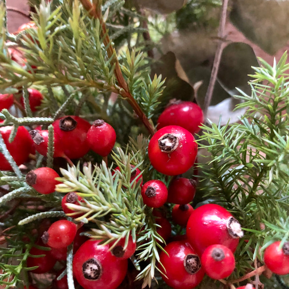 クリスマスへ　針葉樹　赤い実のリース　 2枚目の画像