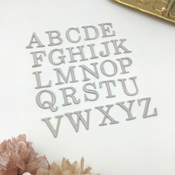 ＼全5色／ セリフ体 イニシャル 刺繍 ワッペン アップリケ アルファベット ローマ字 6枚目の画像