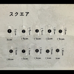 ｻｲｽﾞ確認用ﾁｯﾌﾟ*̣̩⋆̩ 4枚目の画像