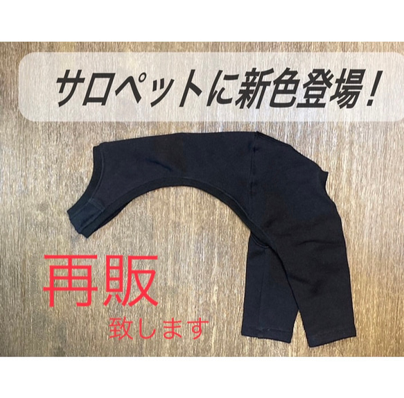 イタグレ服　サロペット 1枚目の画像