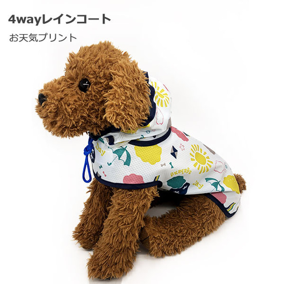 4way 犬用レインコート 【お天気プリント】４サイズ 1枚目の画像