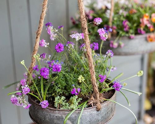 0_f705011eccb6c6aac5b9882b08ef