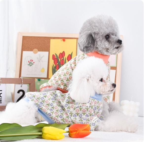 犬　猫　服 ペット服 洋服 柔らかい 子犬小中型犬服　猫服　裏ボア コート 脱毛保護 秋冬服 6枚目の画像