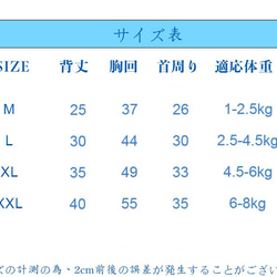  第10張的照片