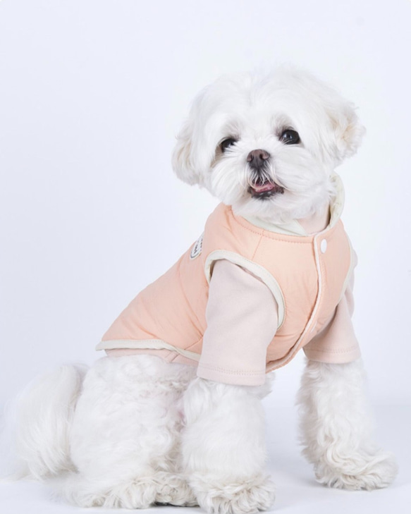 ワンちゃん服 ベスト ペット服 犬服 洋服 可愛い 柔らかい ファッション 小中型犬服人気 1枚目の画像