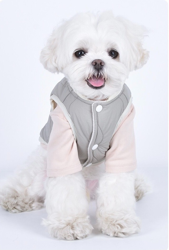 ワンちゃん服 ベスト ペット服 犬服 洋服 可愛い 柔らかい ファッション 小中型犬服人気 2枚目の画像