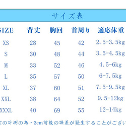  第10張的照片