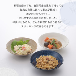 美濃焼 皿 プレート 3色6枚セット 多様鉢&深皿 カレー皿 パスタ皿 5枚目の画像