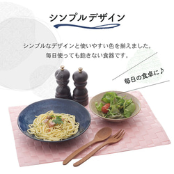 美濃焼 皿 プレート 3色6枚セット 多様鉢&深皿 カレー皿 パスタ皿 8枚目の画像