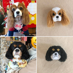 犬のうちの子ポンポンチャーム（お顔だけ）　　 ポメラニアン ヨークシャテリア　ダックス シュナウザー チワワ コーギー 5枚目の画像