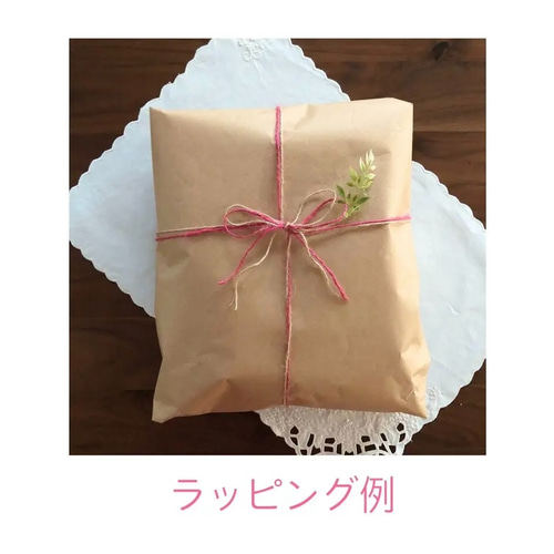 ぽん「3ポメ~お花リース」「ポメと柴犬~インコS字飾り」 全身2匹のうちの子ぽんぽんリース（お花とぽんぽんタイプ