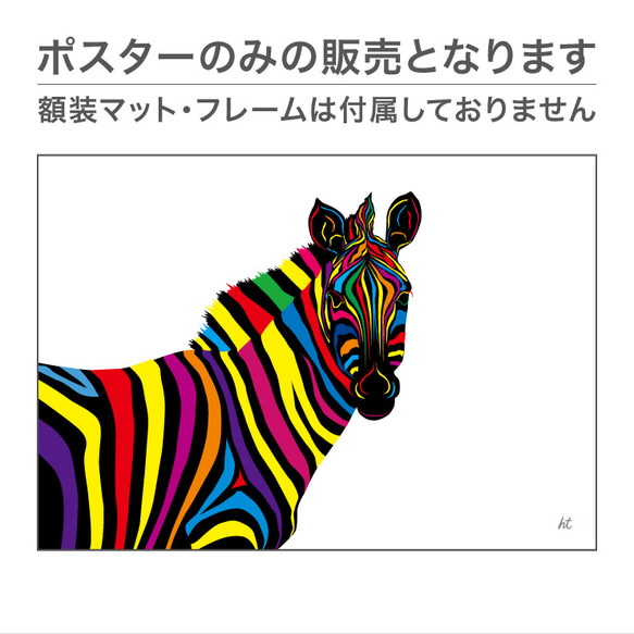 例證藝術圖表海報動物斑馬kumama斑馬37 第3張的照片