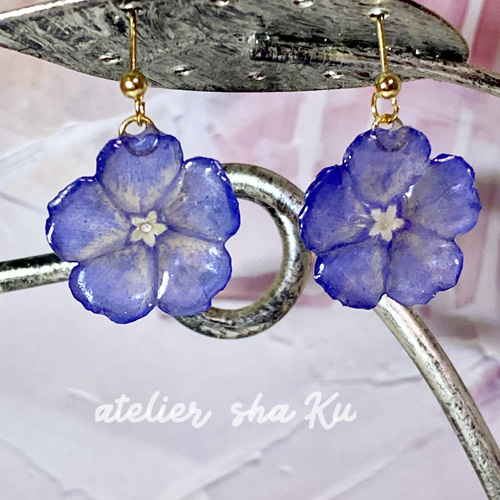 アメリカンブルー』のお花 一粒ドライフラワーピアス お色味：ブルー