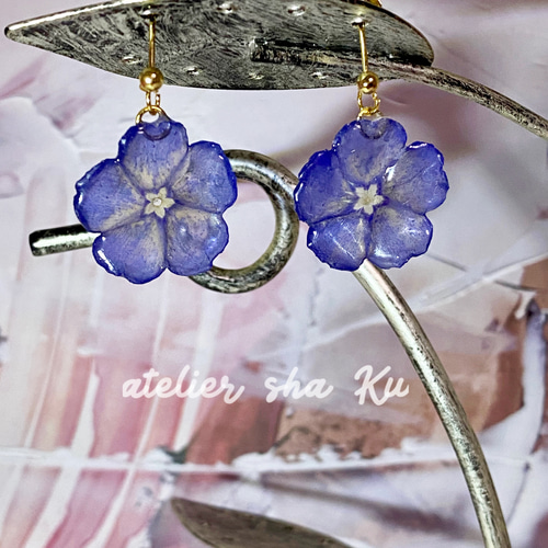 アメリカンブルー』のお花 一粒ドライフラワーピアス お色味：ブルー