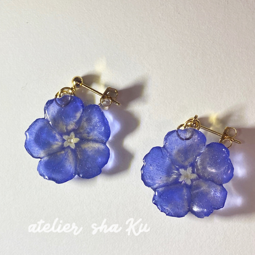 アメリカンブルー』のお花 一粒ドライフラワーピアス お色味：ブルー