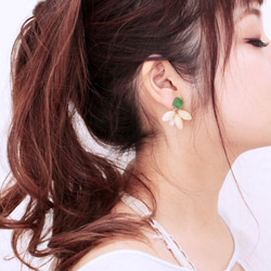 [Very Popular❤︎] Earrings &amp; Earrings tino &#39;SS&#39; [綠色] 第4張的照片