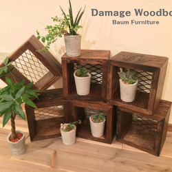 Damage Woodbox　ヴィンテージ　ウッドボックス　ディスプレイ　金網 1枚目の画像