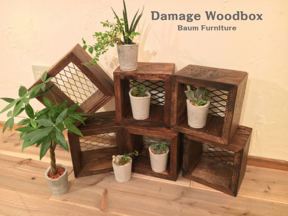 Damage Woodbox　ヴィンテージ　ウッドボックス　ディスプレイ　金網 1枚目の画像