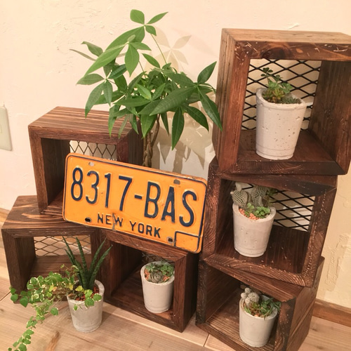 Damage Woodbox ヴィンテージ ウッドボックス ディスプレイ 金網 棚