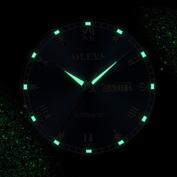 スイス時計全自動機械式時計ファッションダイヤモンドレディース時計E004グリーン 3枚目の画像