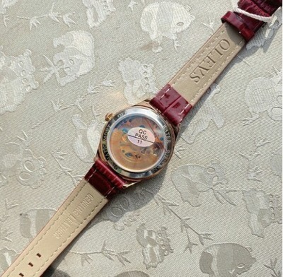 ブランドの時計女性の自動機械式時計売れ筋本革の女性の時計防水女性の時計、青いベルトと青い文字盤 2枚目の画像
