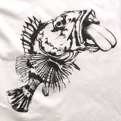 ROCK FISH Ⅰ～カサゴ～ 2枚目の画像