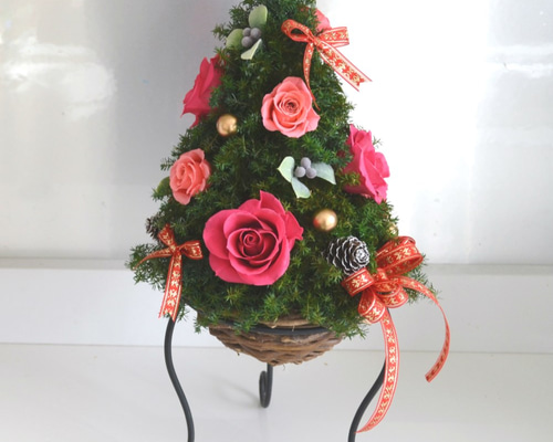 1_77c8cc49d9890468cf7088338985