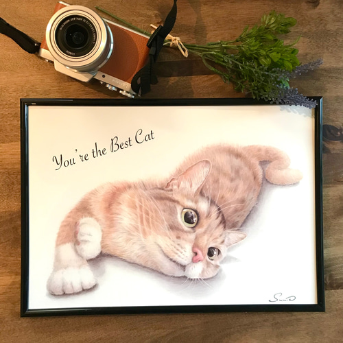 色鉛筆画 A4.猫 クリスマス7 色鉛筆画 A4.猫 クリスマス7
