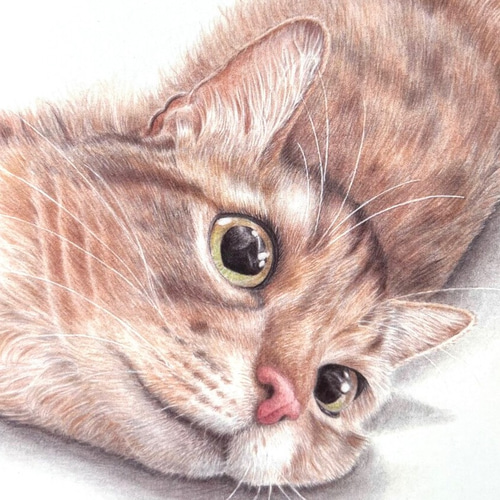 リアルな猫のアートポスター 色鉛筆画 A4サイズ 猫好きさん必見
