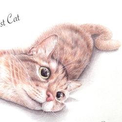 リアルな猫のアートポスター 色鉛筆画  A4サイズ　猫好きさん必見 5枚目の画像