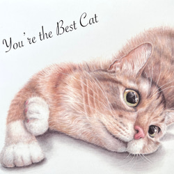 リアルな猫のアートポスター 色鉛筆画  A4サイズ　猫好きさん必見 6枚目の画像