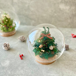 早割クリスマス2024】クリスマスのミニハーバリウム 2本セット♪ ハー