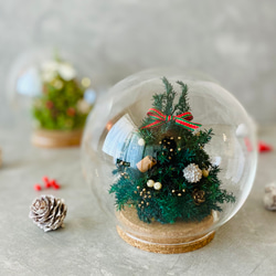 ★ 早割クリスマス2023 ★クリスマスツリーのLEDライト付きガラスドーム♪受注制作品 3枚目の画像